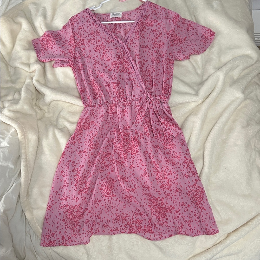 Sienna Sky Pink Floral Dress
